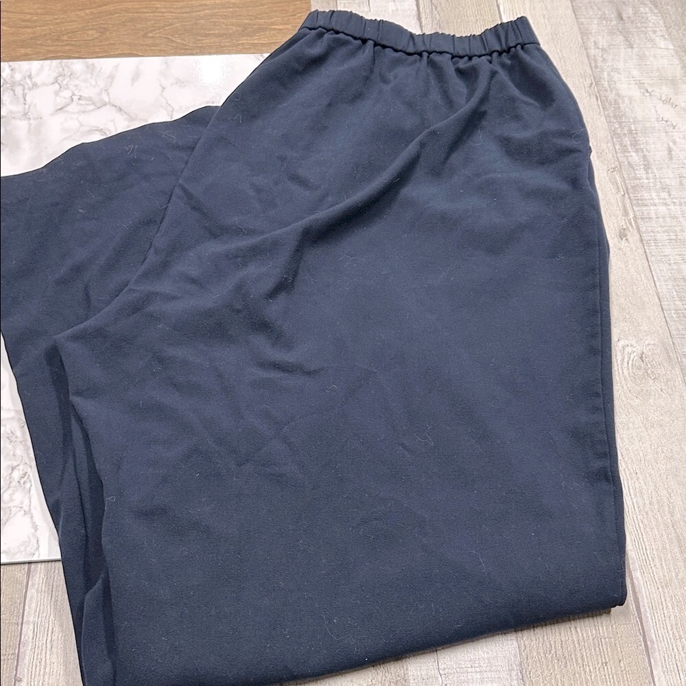 Kim Rogers Navy Blue Elastic Waist Pants size 22W
